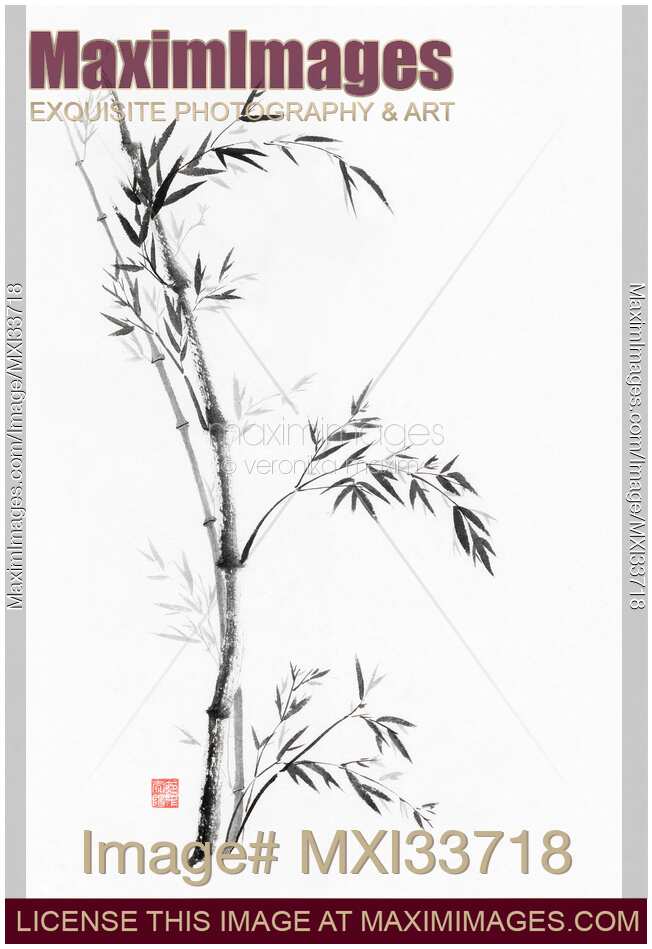 Bamboo stalks and leaves Zen style painting artwork on white rice paper