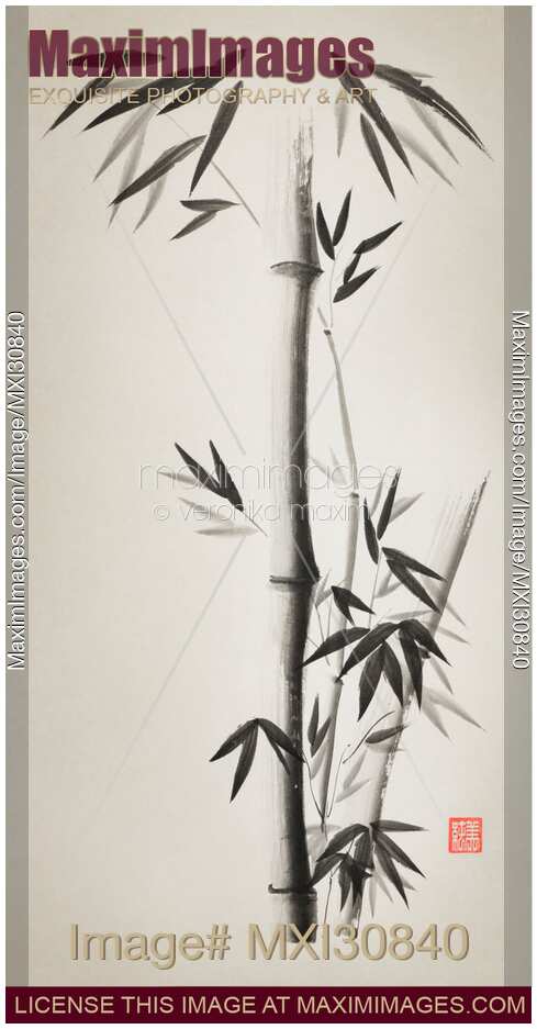 Bamboo stalks with leaves Japanese Zen Sumi ink painting on faded vintage rice paper