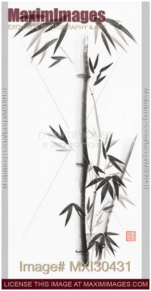 Bamboo stalks with leaves Japanese Zen Sumi ink painting on white rice paper