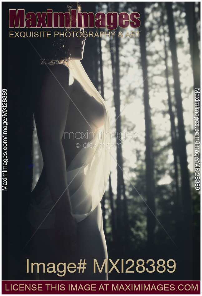 Beautiful artistic nude portrait of a woman in soft sunlight in forest