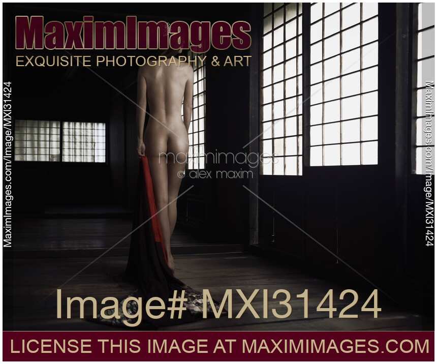 Beautiful asian woman in a Japanese house with her nude back lit by the soft light from shoji doors Art Nudes
