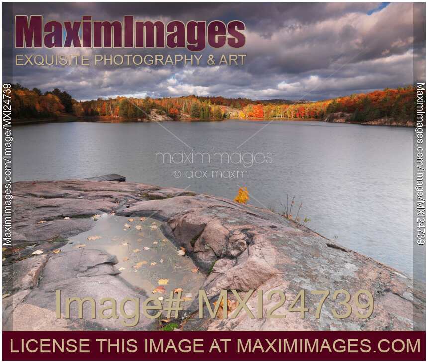Beautiful atmospheric autumn landscape nature scenery