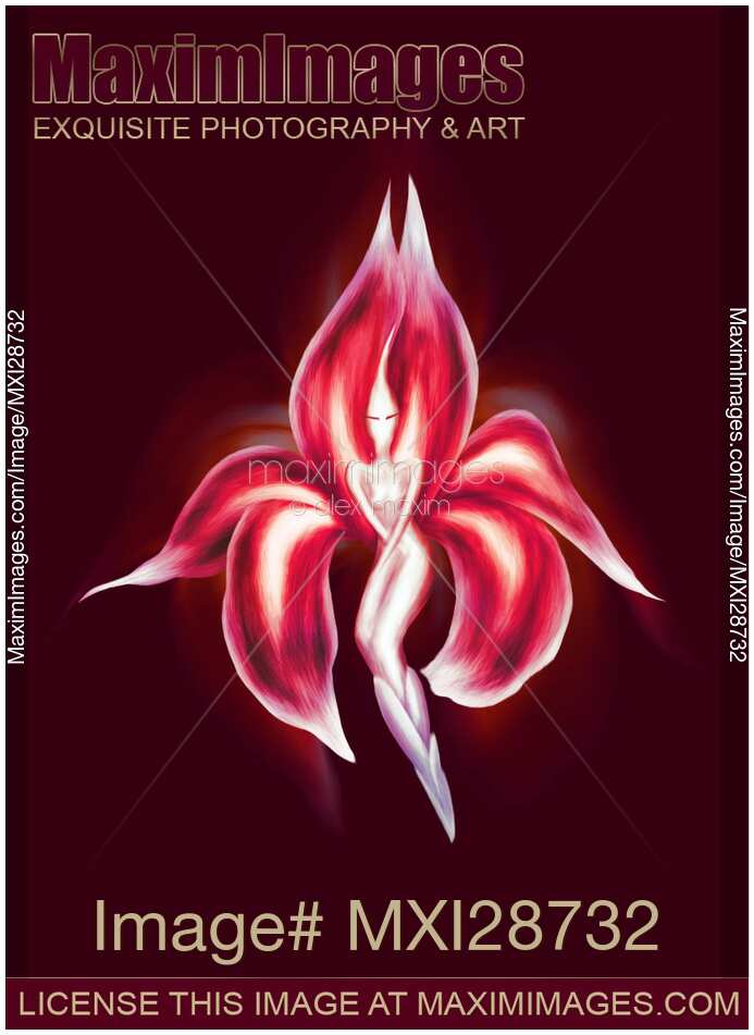 Beautiful dancing lady exotic red flower illustration