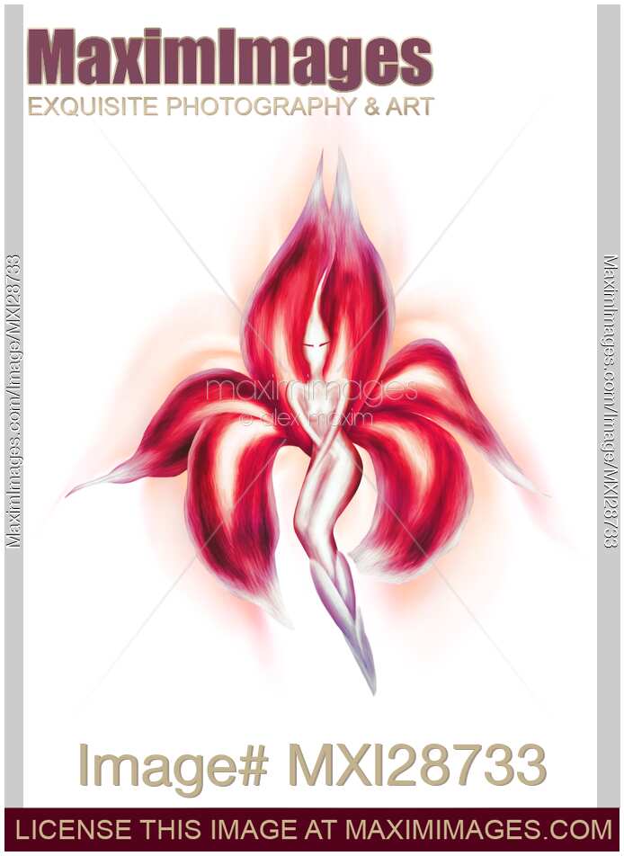 Beautiful dancing lady red flower artistic illustration