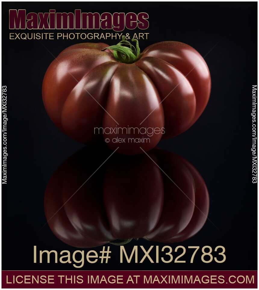 Beautiful dark red organic heirloom tomato Black Krim on black background