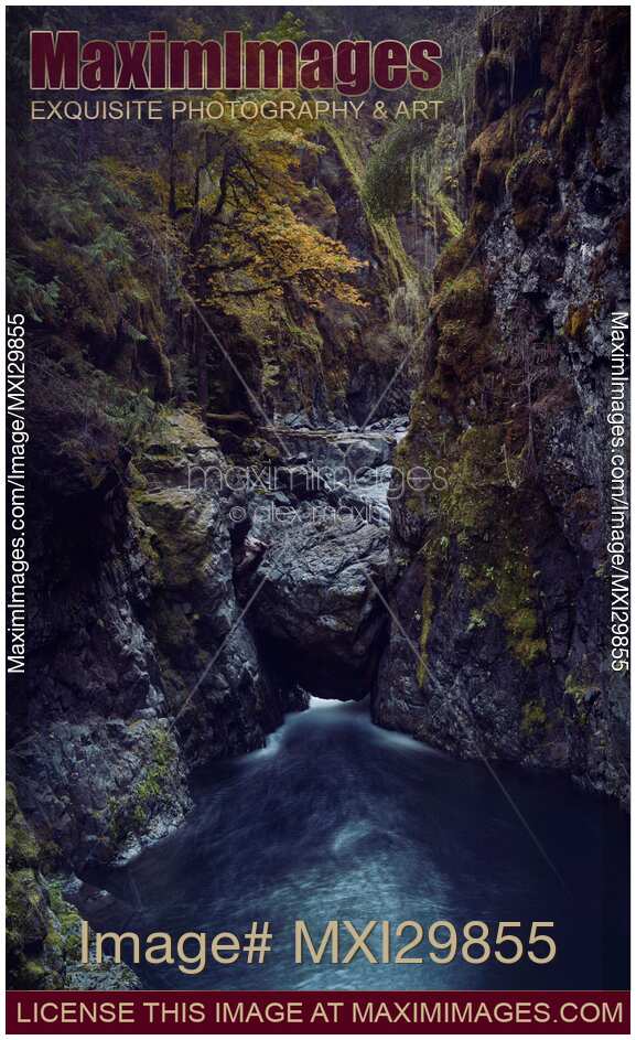 Beautiful fall nature scenery of Englishman River canyon on Vancouver Island