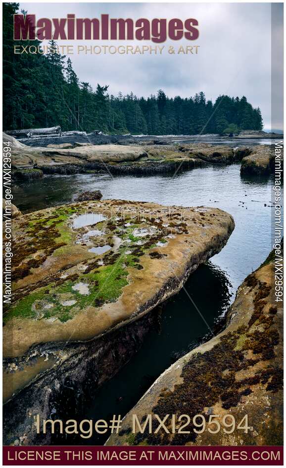 Beautiful landscape scenery at Botanical Beach Juan de Fuca Provincial Park