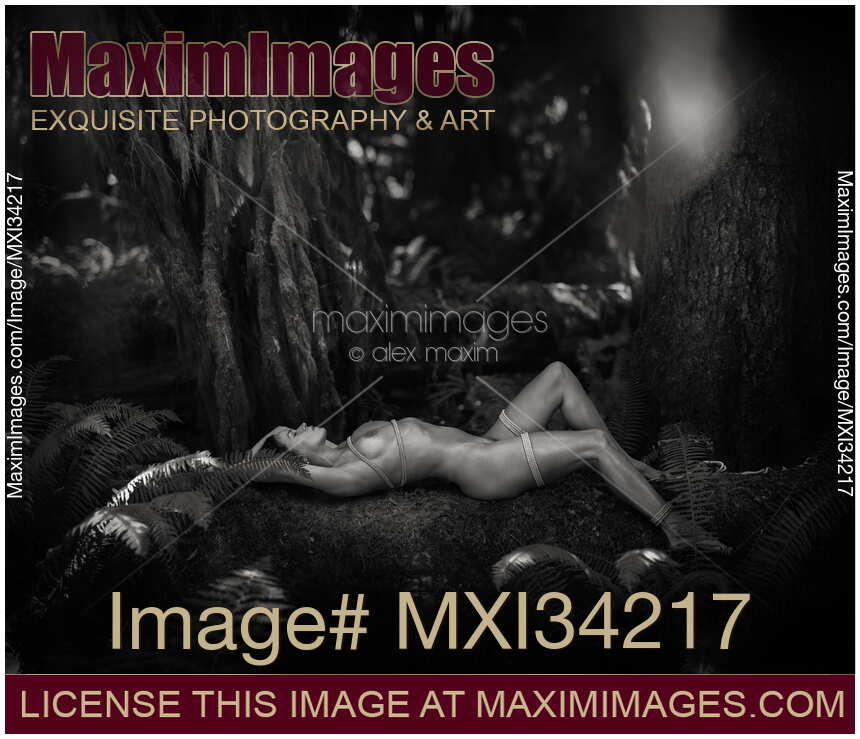 Beautiful naked woman lying tied up with shibari bondage ropes on mossy tree trunk in nature scenery. Black and white.