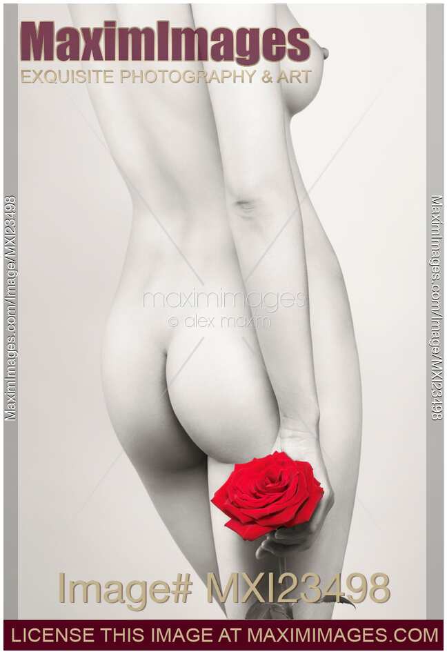 Beautiful Naked Woman with a Rose