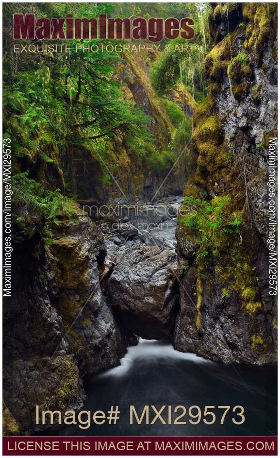 Beautiful nature scenery of Englishman River canyon on Vancouver Island