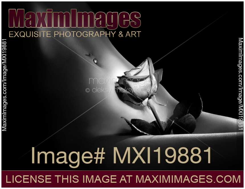 Beautiful Nude Female Body with a Rose