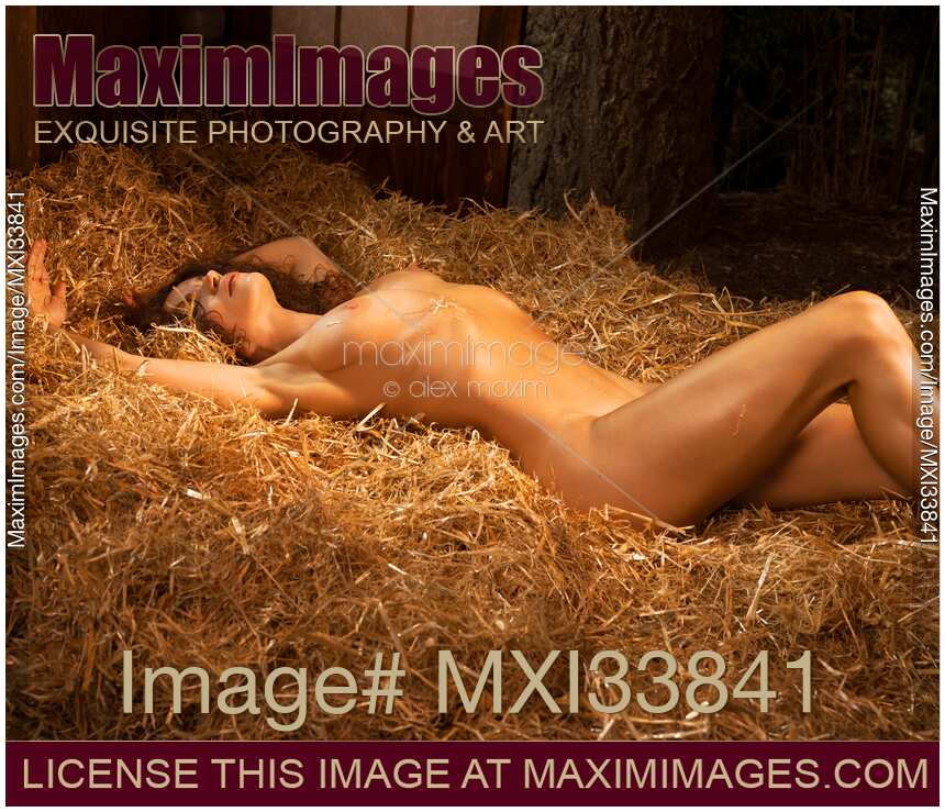 Beautiful nude sexy young woman lying relaxed naked on straw in warm golden light