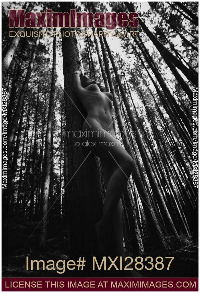 Beautiful nude woman leaning against tree in forest black and white