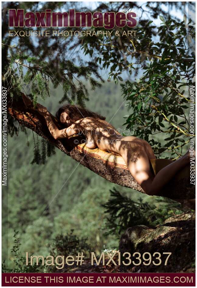 Beautiful nude woman lying naked on top of a tree branch over a cliff in summer nature scenery