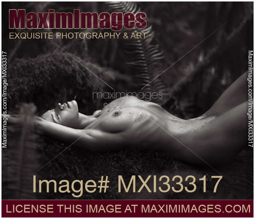 Beautiful nude woman lying relaxed on a mossy tree in a forest with rain drops on her naked body Black and white