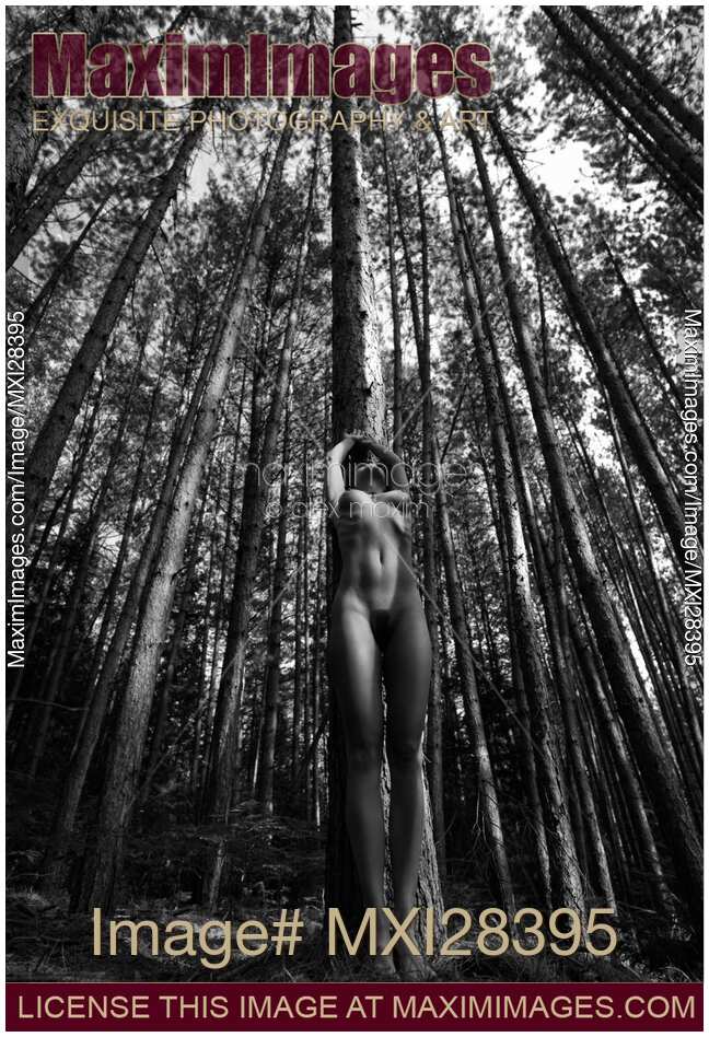 Beautiful nude woman standing at a tall pine tree in forest