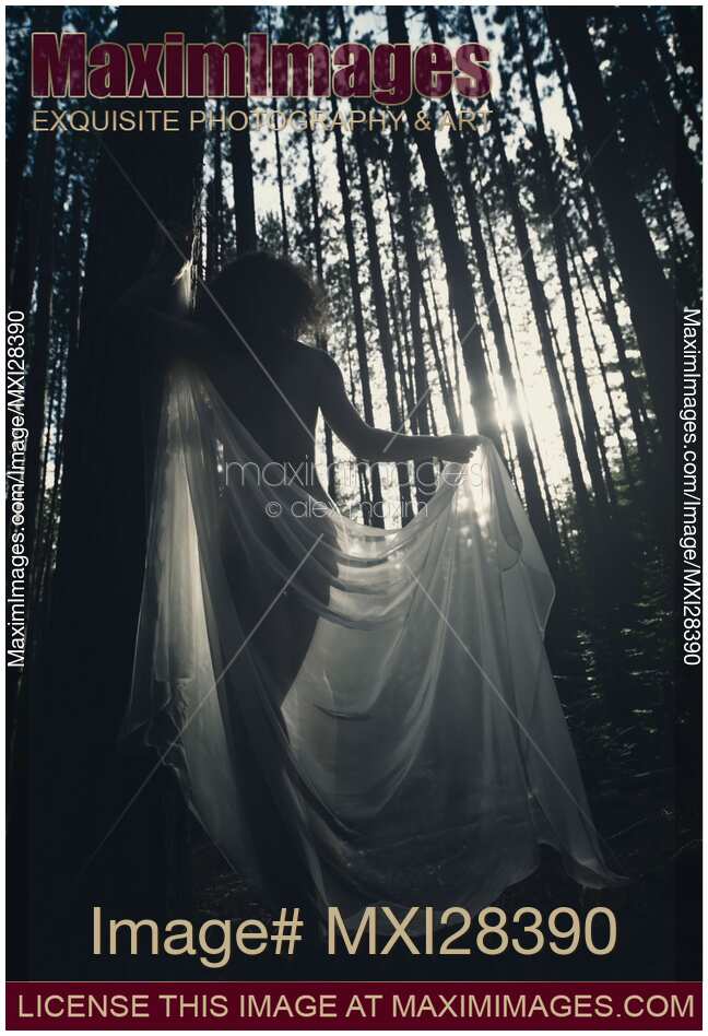 Beautiful nude woman with sheer shawl walking through forest in dreamy sunlight glow