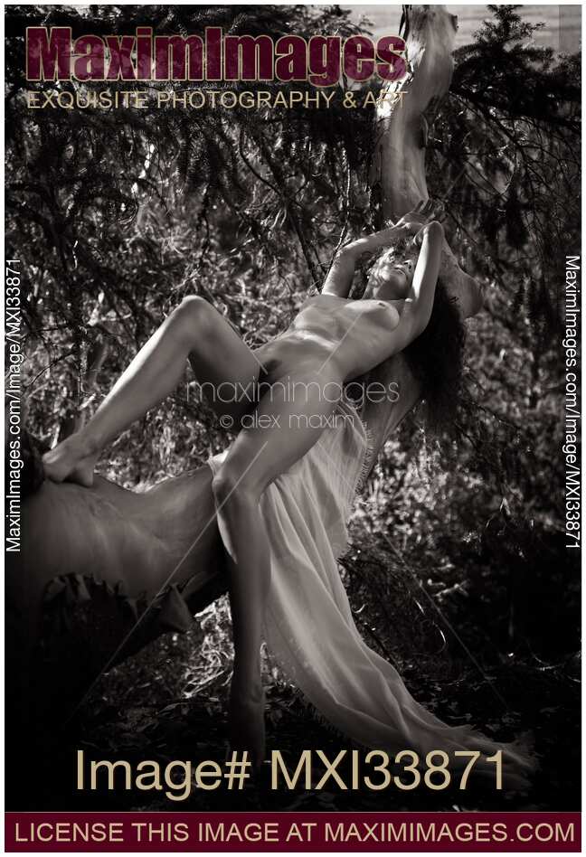 Beautiful nude young woman lying naked stretched on branch of arbutus tree over cliff in nature scenery Black and white