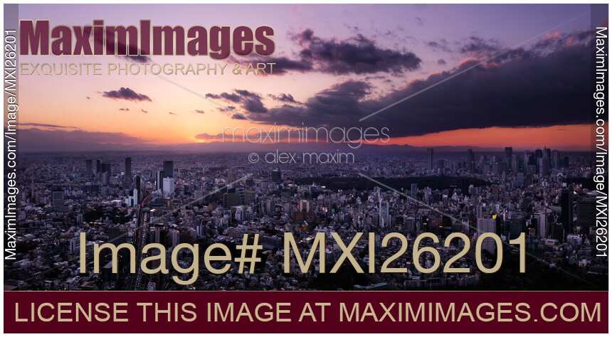 Beautiful panoramic sunset scenery of Tokyo Japan