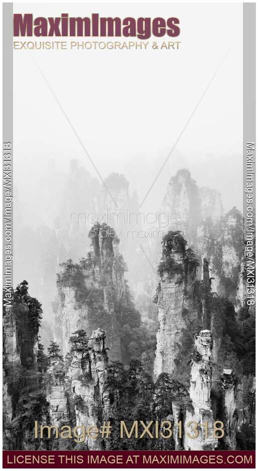 Beautiful peaks of floating mountains Zhangjiajie disappearing in milky fog Black and white