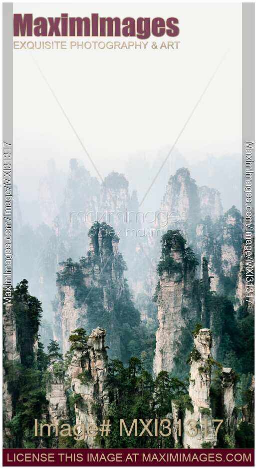 Beautiful peaks of floating mountains Zhangjiajie disappearing in milky fog