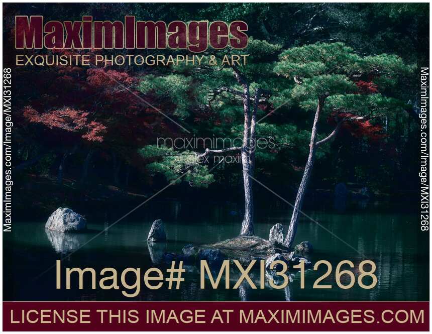 Beautiful scenery of two pine trees in a pond Zen garden of Kinkaku-ji Rokuon-ji temple in Kyoto