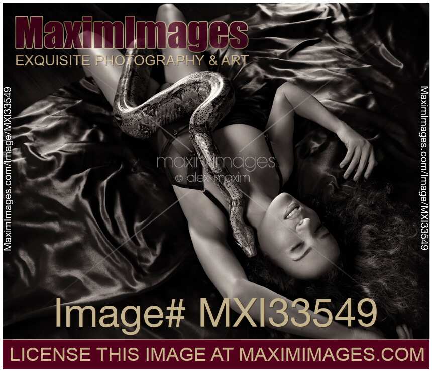Beautiful sexy woman lying on silky bed in ecstatic pose with large Kundalini boa snake whispering in her ear Black and white