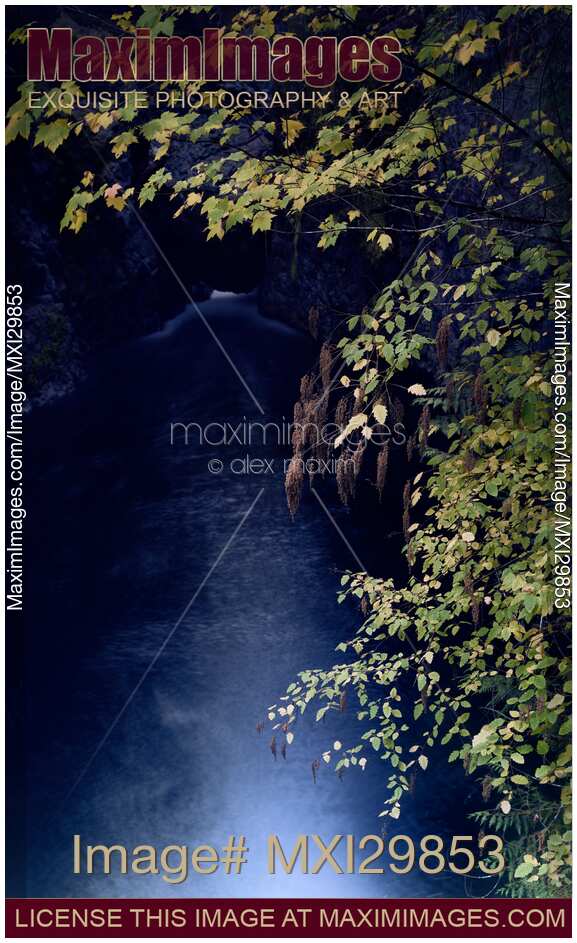 Beautiful tranquil fall nature scenery yellow leaves and Englishman River in the background