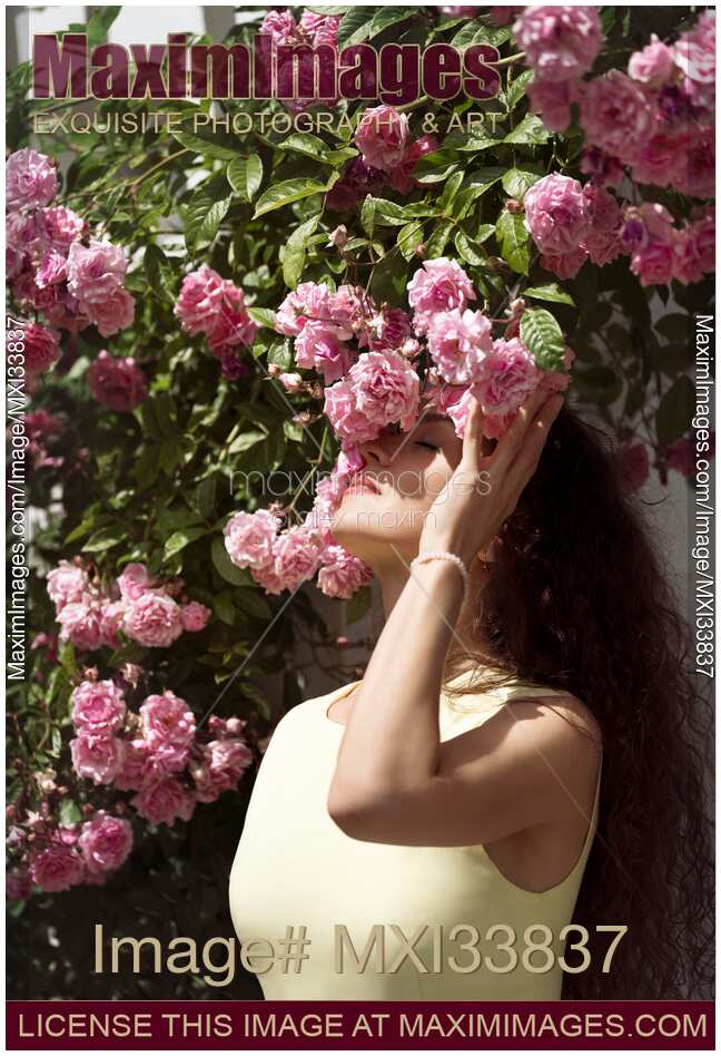Beautiful woman standing under a bush of pink roses smelling the flowers in sunlight