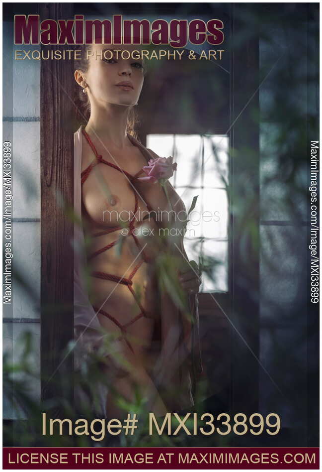 Beautiful woman with a rose standing at a window with Shibari bondage ropes tied around her sensual naked body