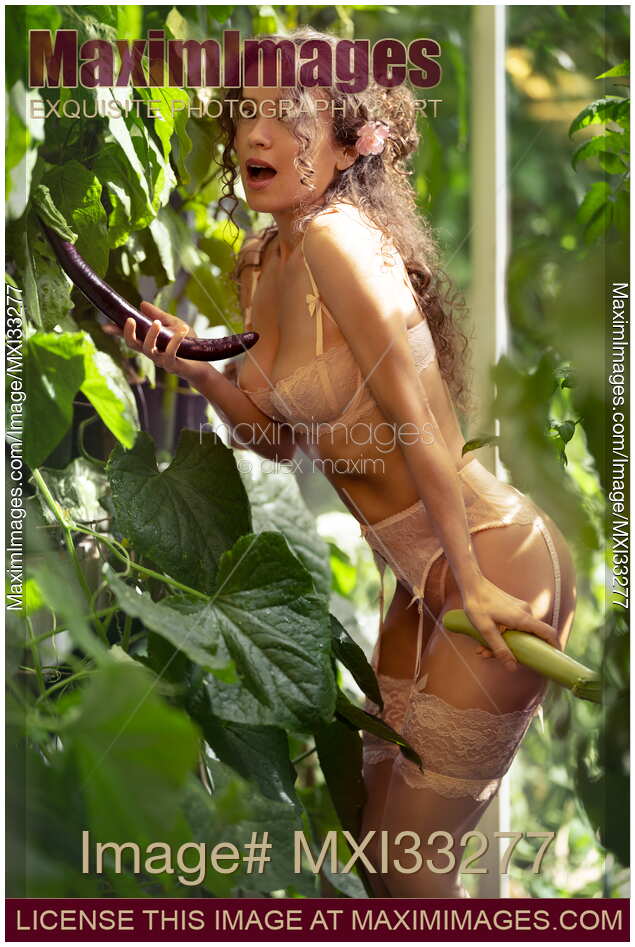 Beautiful young woman in lingerie picking sexy eggplants in a garden Humorous suggestive pin up glamour portrait