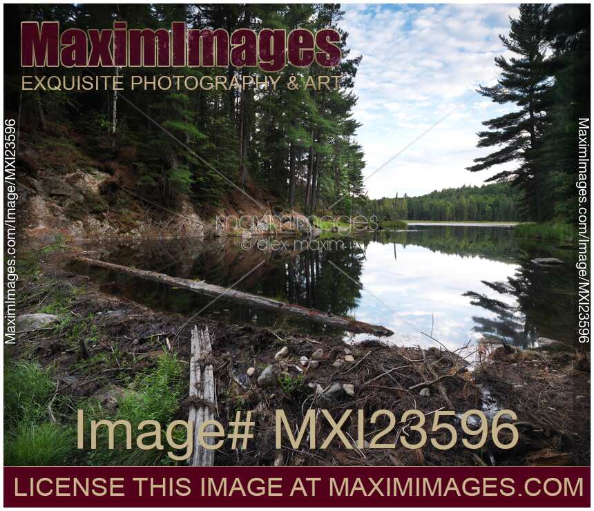 Beaver Dam