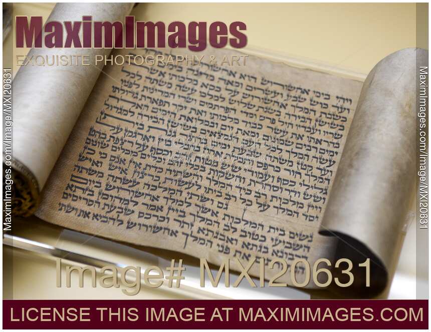 Biblical Text