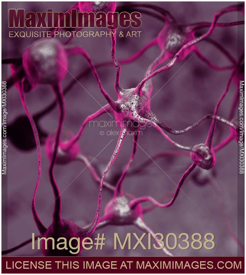 Biological Neural connections network Neurons Brain cells scientific illustration