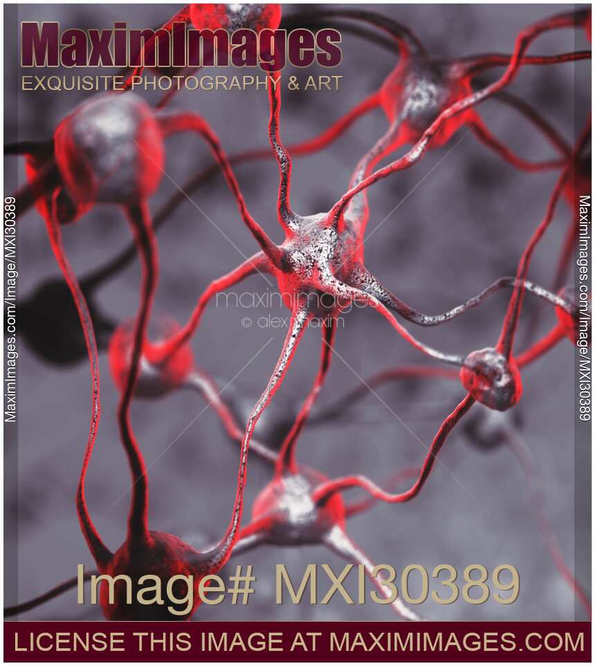 Biological Neural network Interconnected Neurons of Human brain Illustration