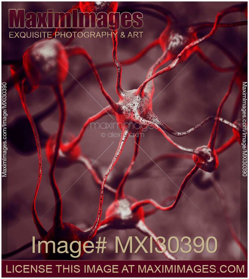 Biological Neural network Neurons Brain cells scientific medical illustration