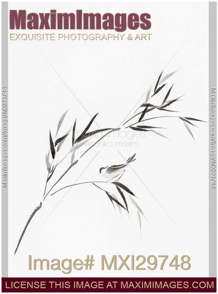 Bird on a bamboo branch Japanese Zen Sumi-e painting on white rice paper