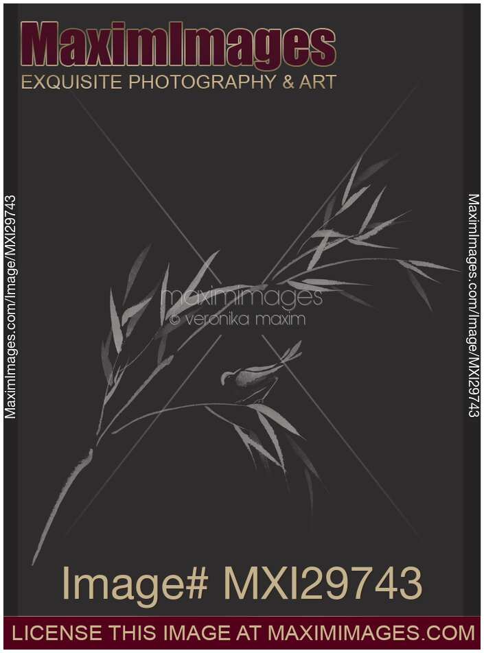 Bird on bamboo branch elegant Zen art design in modern contrast colors on black background