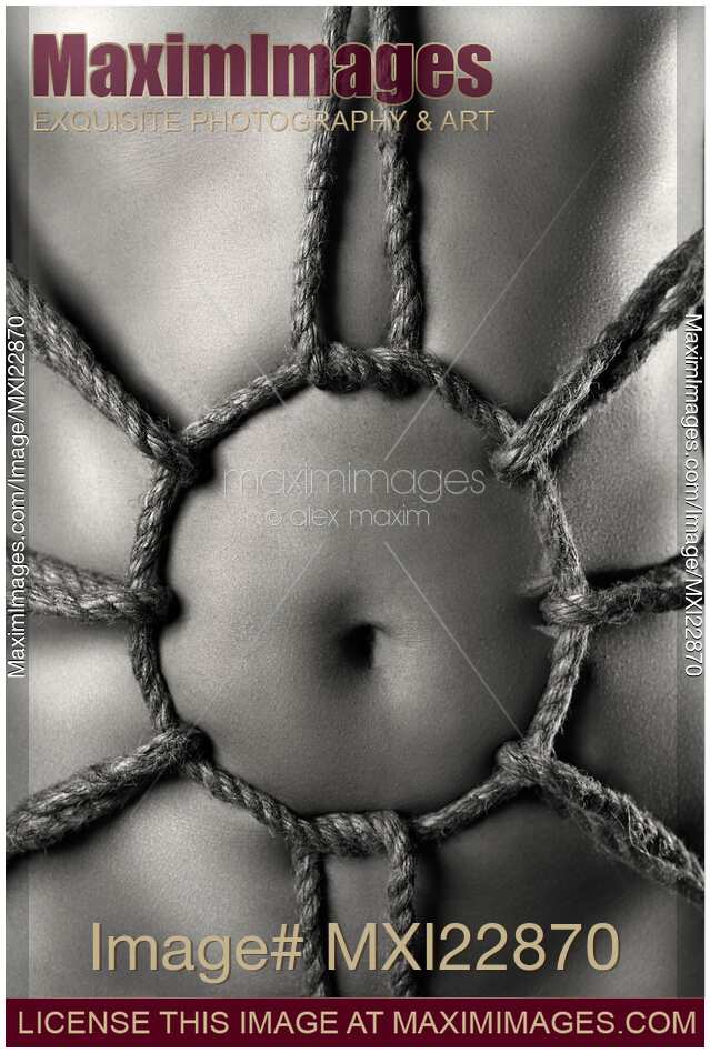 Black and white art nude of sexy woman body with Shibari rope bondage on her stomach