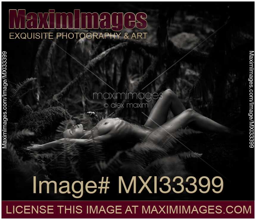 Black and white Fine art nude portrait of a beautiful nude woman lying on a fallen tree in a dark mossy forest nature scenery
