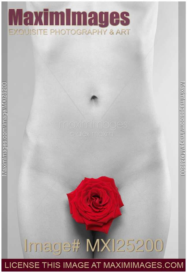 Black and white naked woman body with red rose