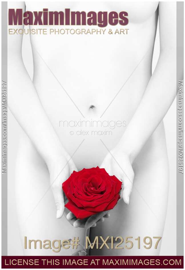 Black and white nude Woman with a Red Rose