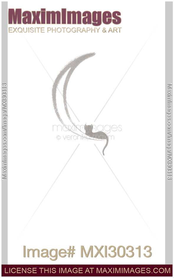 Black cat lying on the waning moon artistic illustration design gray on white