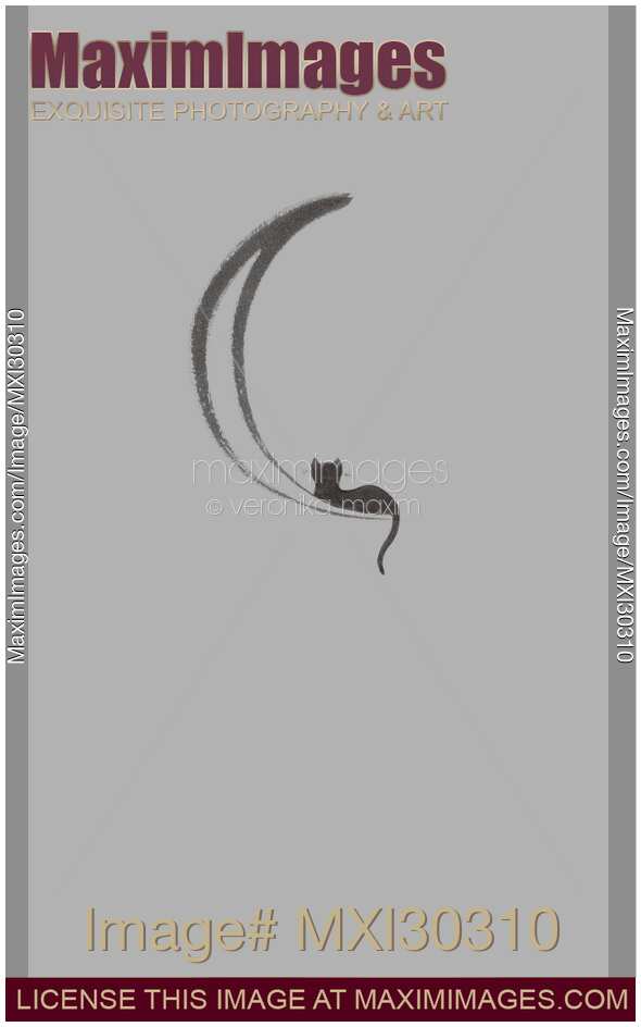 Black cat lying on the waning moon artistic illustration design on gray background