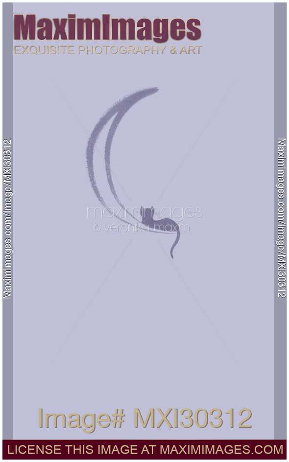 Black cat lying on the waning moon artistic illustration design on lavender purple
