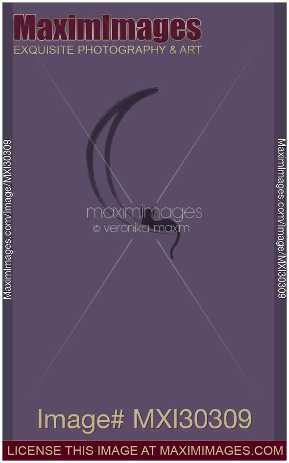 Black cat lying on the waning moon artistic illustration design on purple gray background
