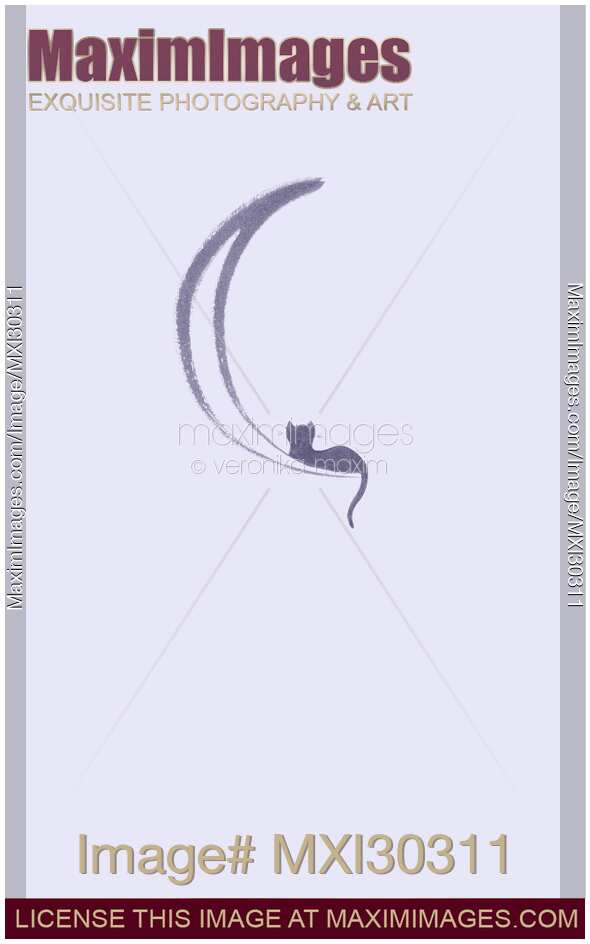 Black cat lying on the waning moon artistic illustration design on white