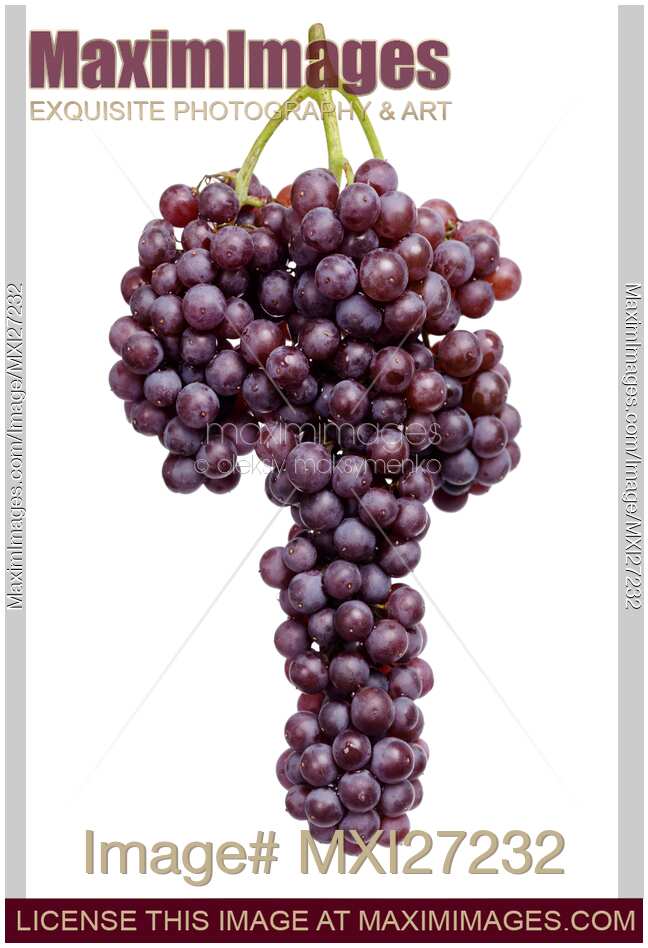Black Corinth grapes cluster