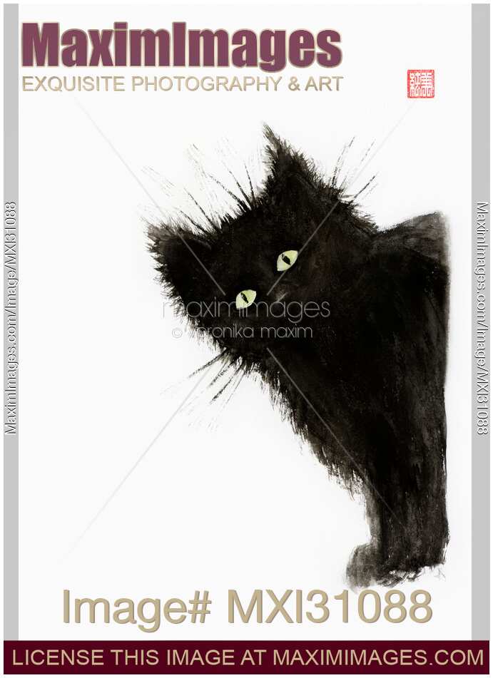 Black fuzzy cat peaking from around the corner
