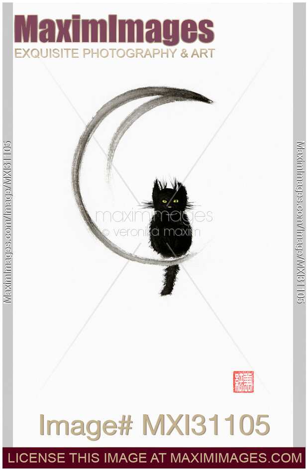 Black fuzzy cat sitting on the crescent moon